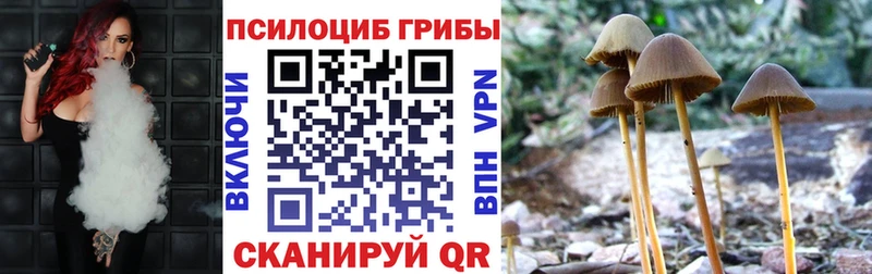 купить закладку  Моршанск  гидра как зайти  Псилоцибиновые грибы GOLDEN TEACHER 