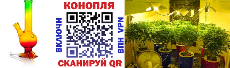 Канабис SATIVA & INDICA  где найти наркотики  Моршанск 